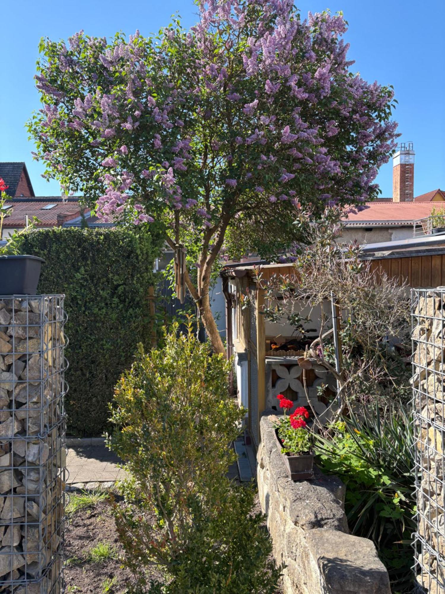 Haus Hannah Μάινινγκεν Εξωτερικό φωτογραφία