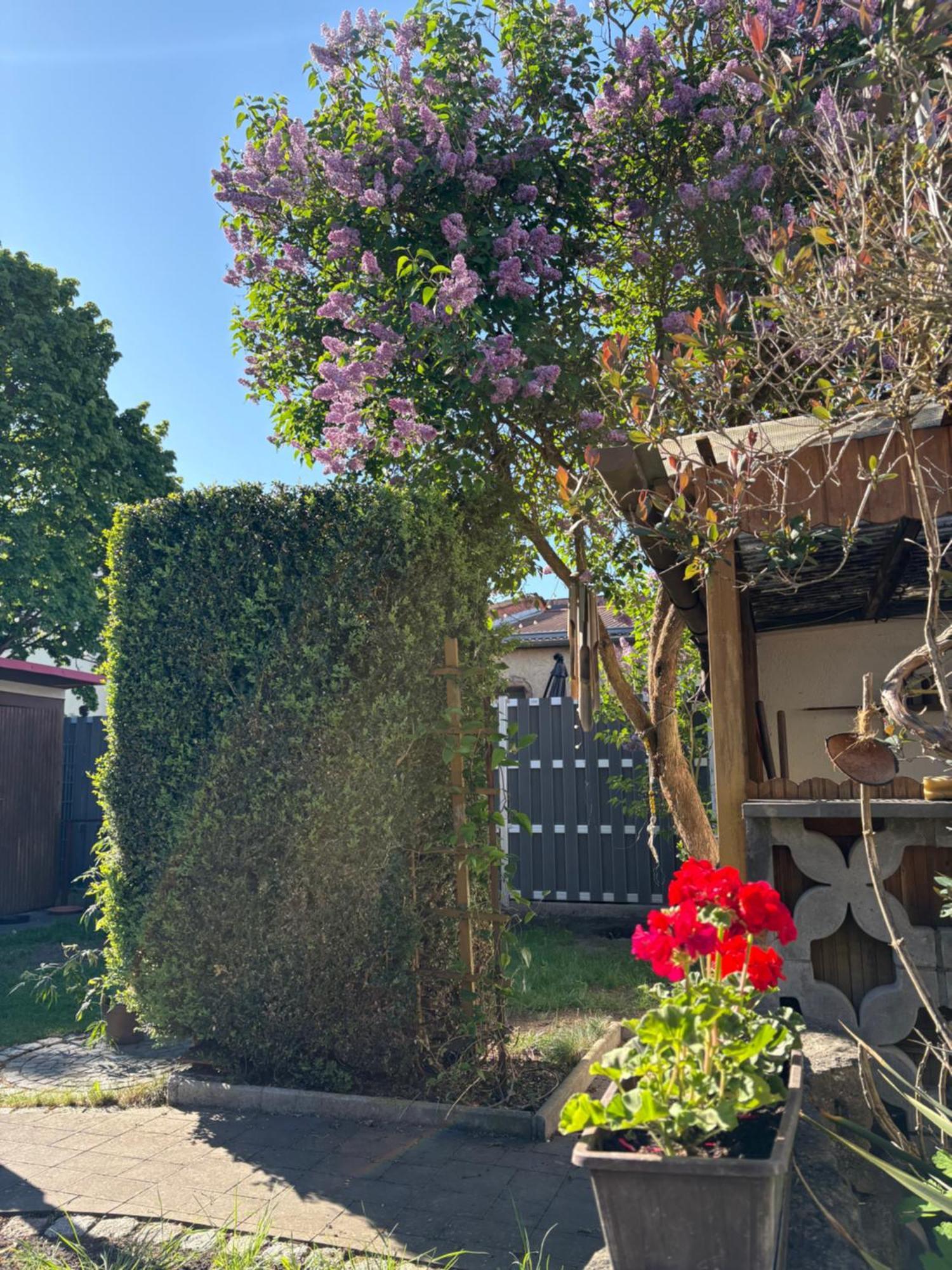 Haus Hannah Μάινινγκεν Εξωτερικό φωτογραφία